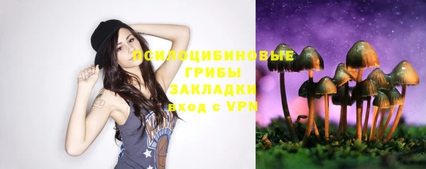 a pvp Дмитриев