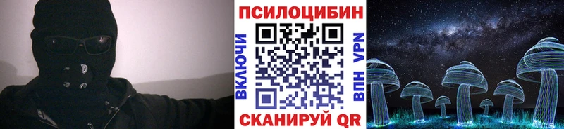 Купить где  Бавлы  Галлюциногенные грибы Psilocybine cubensis 